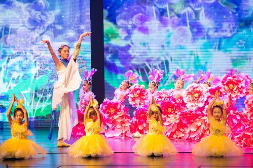 街舞、话剧、跆拳道 这场大型儿童汇演堪比央视春晚的精彩盛宴