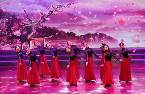 花开正当时，舞动少年梦——天台县少儿舞蹈成果展演圆满落幕