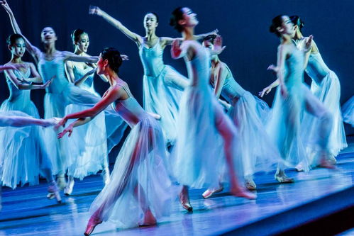 曼舞长宁 儿童舞蹈精品专场的艺术魅力与服务特色